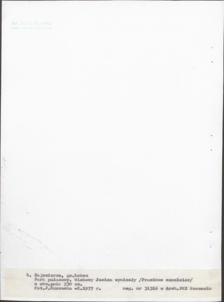 Ewidencja parkowa, skan nr 29