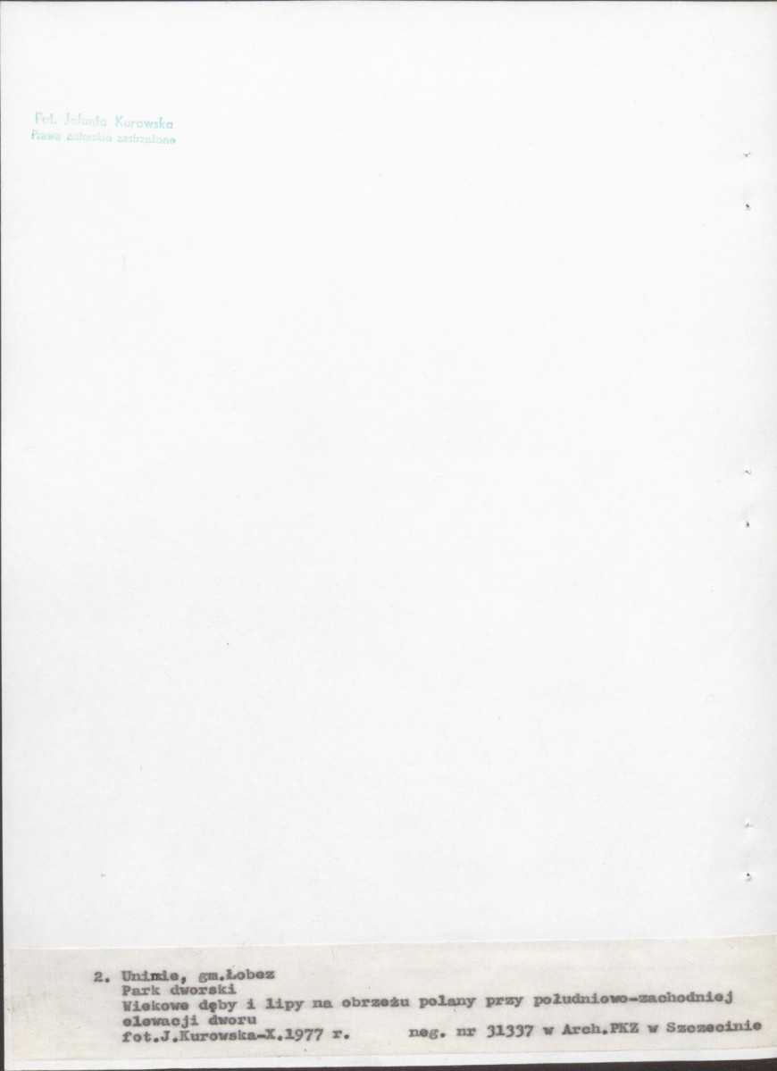 Ewidencja parkowa, skan nr 21