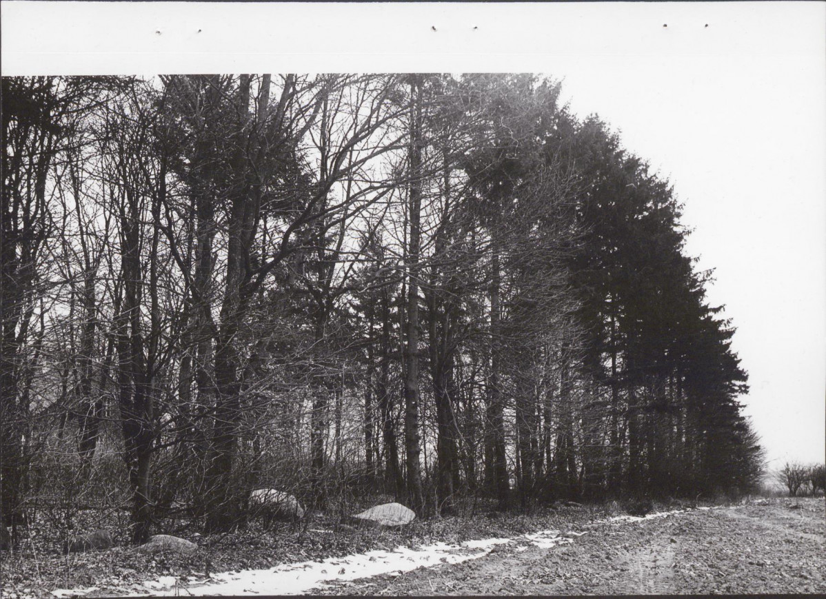 Ewidencja parkowa, skan nr 18