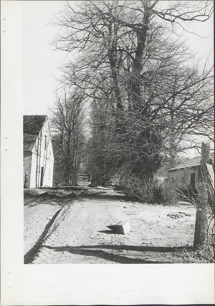 Ewidencja parkowa, skan nr 15