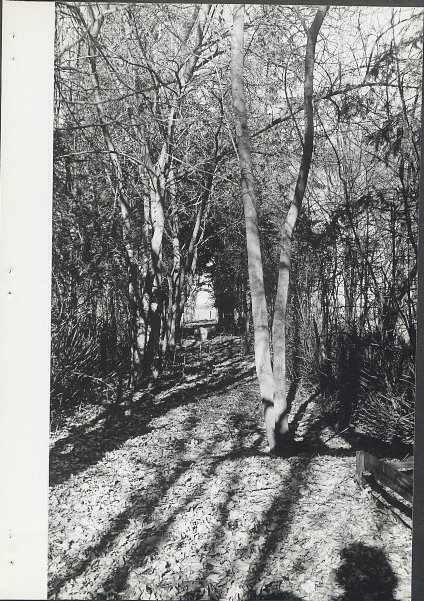 Ewidencja parkowa, skan nr 31