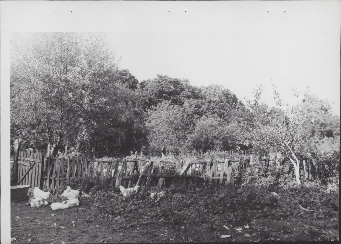 Ewidencja parkowa, skan nr 22