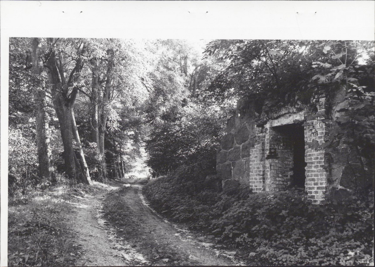 Ewidencja parkowa, skan nr 24