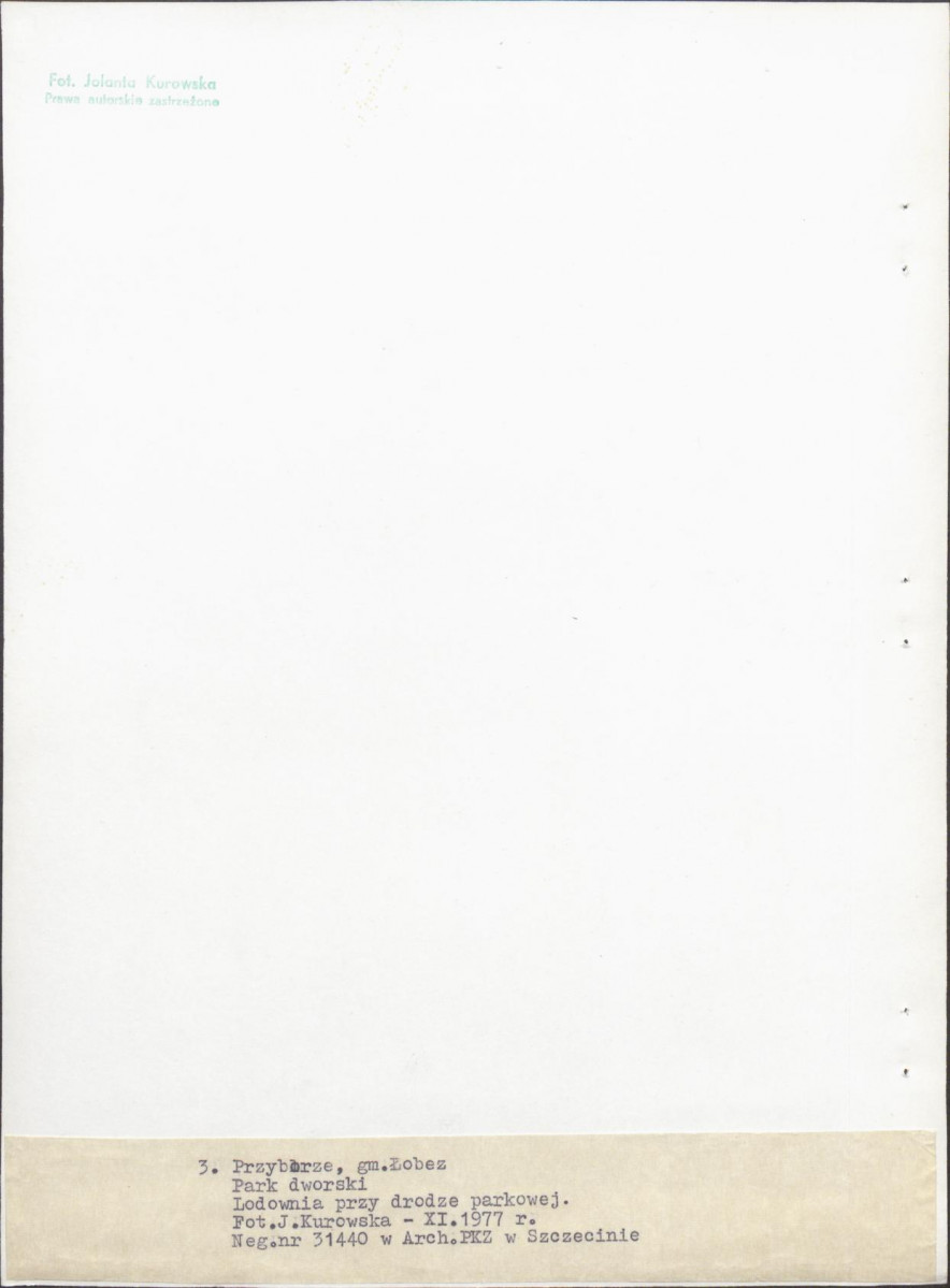 Ewidencja parkowa, skan nr 25