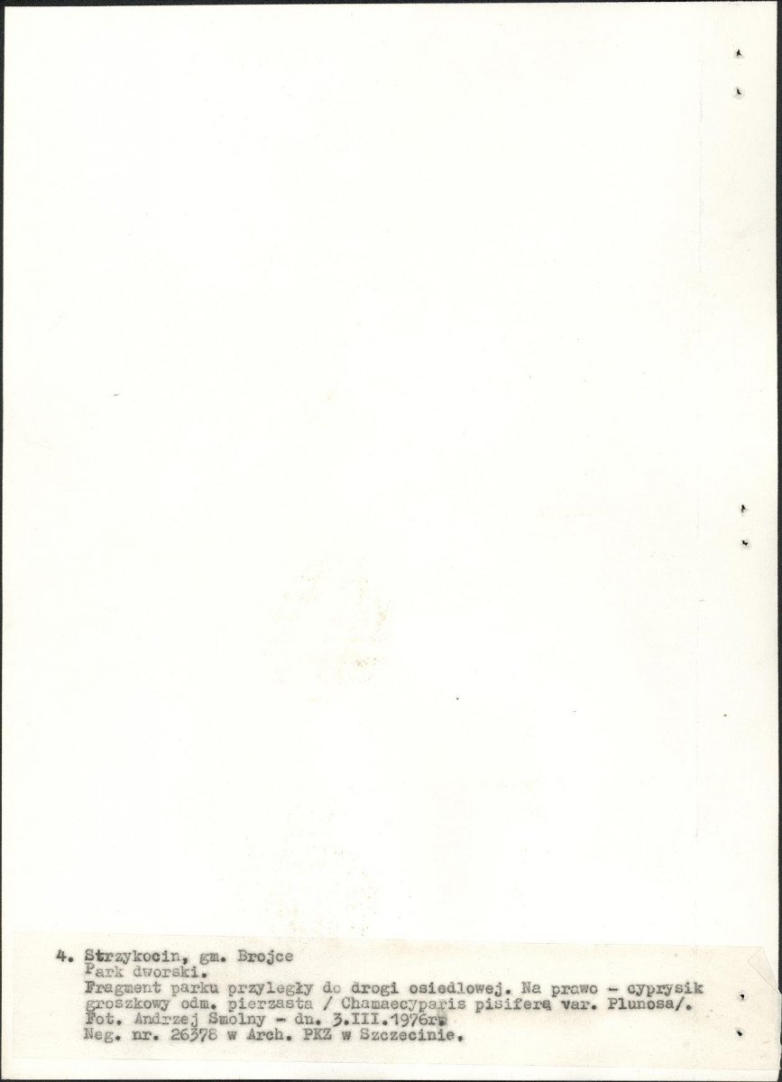 Ewidencja parkowa, skan nr 20