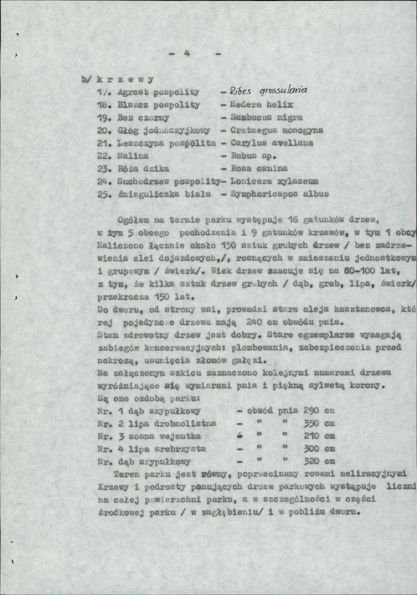 Ewidencja parkowa, skan nr 8