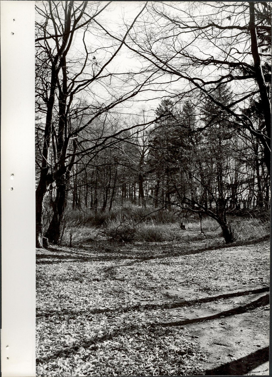 Ewidencja parkowa, skan nr 16