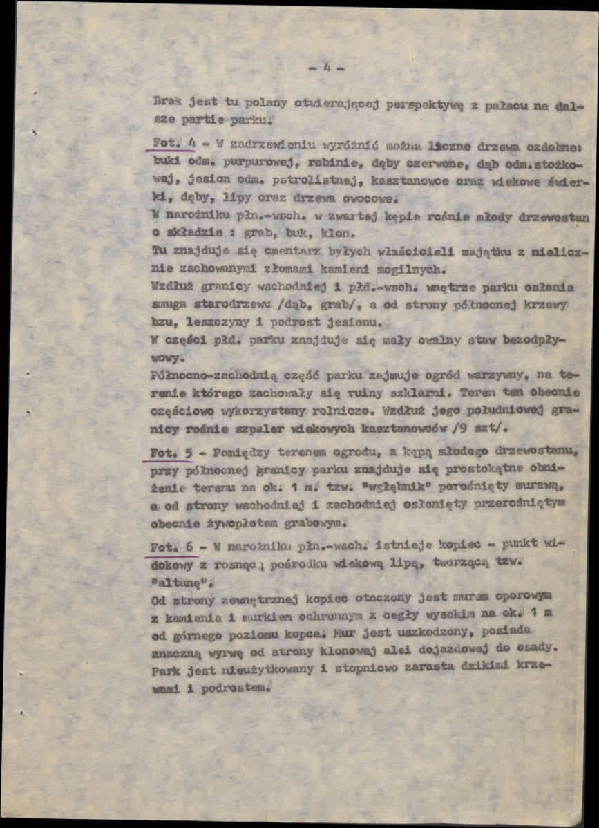 Ewidencja parkowa, skan nr 11