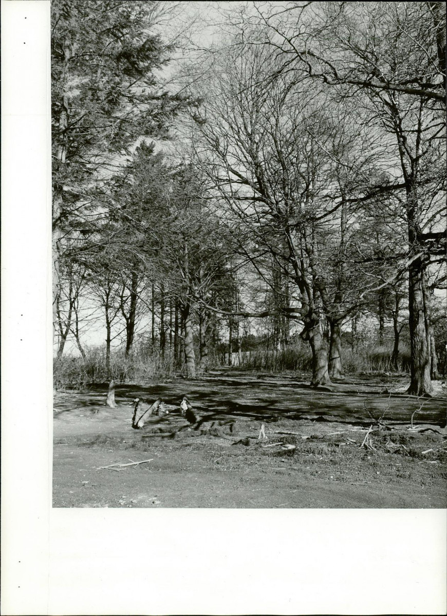 Ewidencja parkowa, skan nr 15