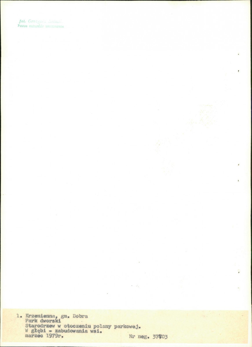 Ewidencja parkowa, skan nr 21