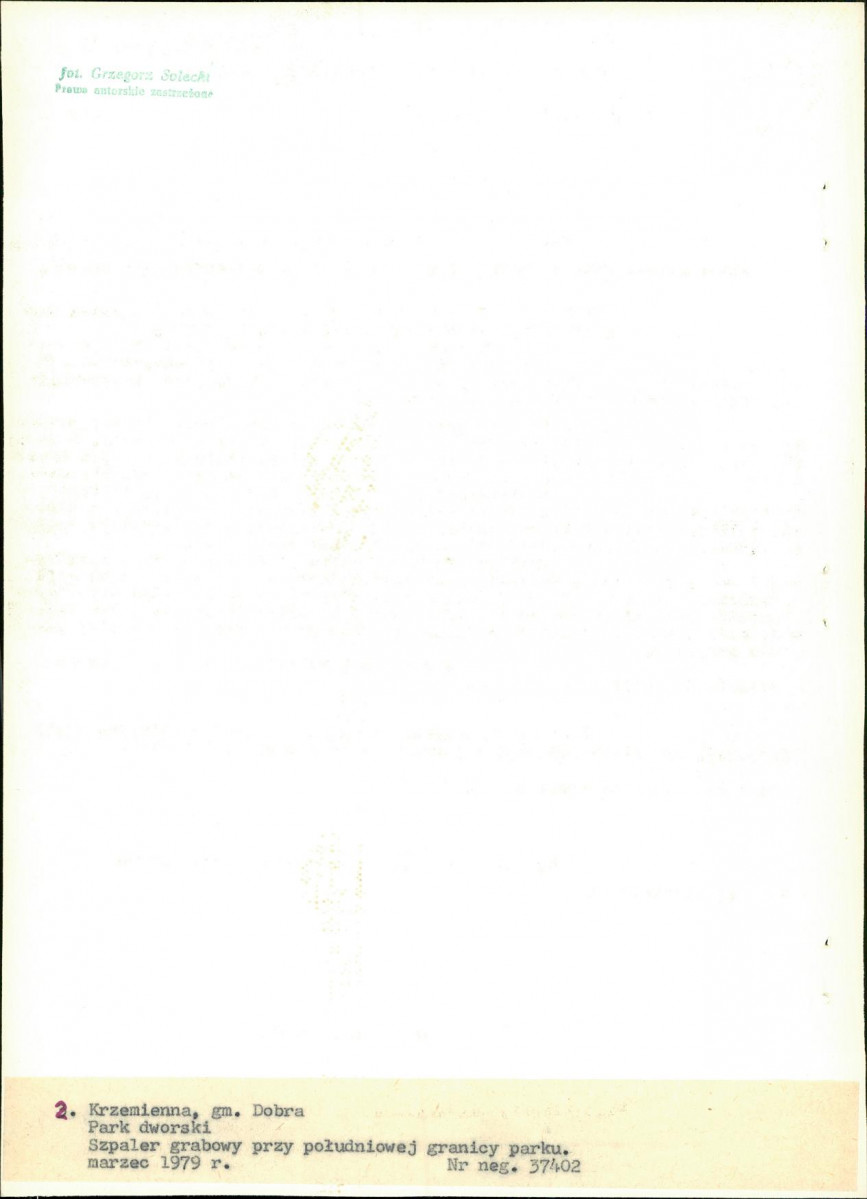 Ewidencja parkowa, skan nr 23