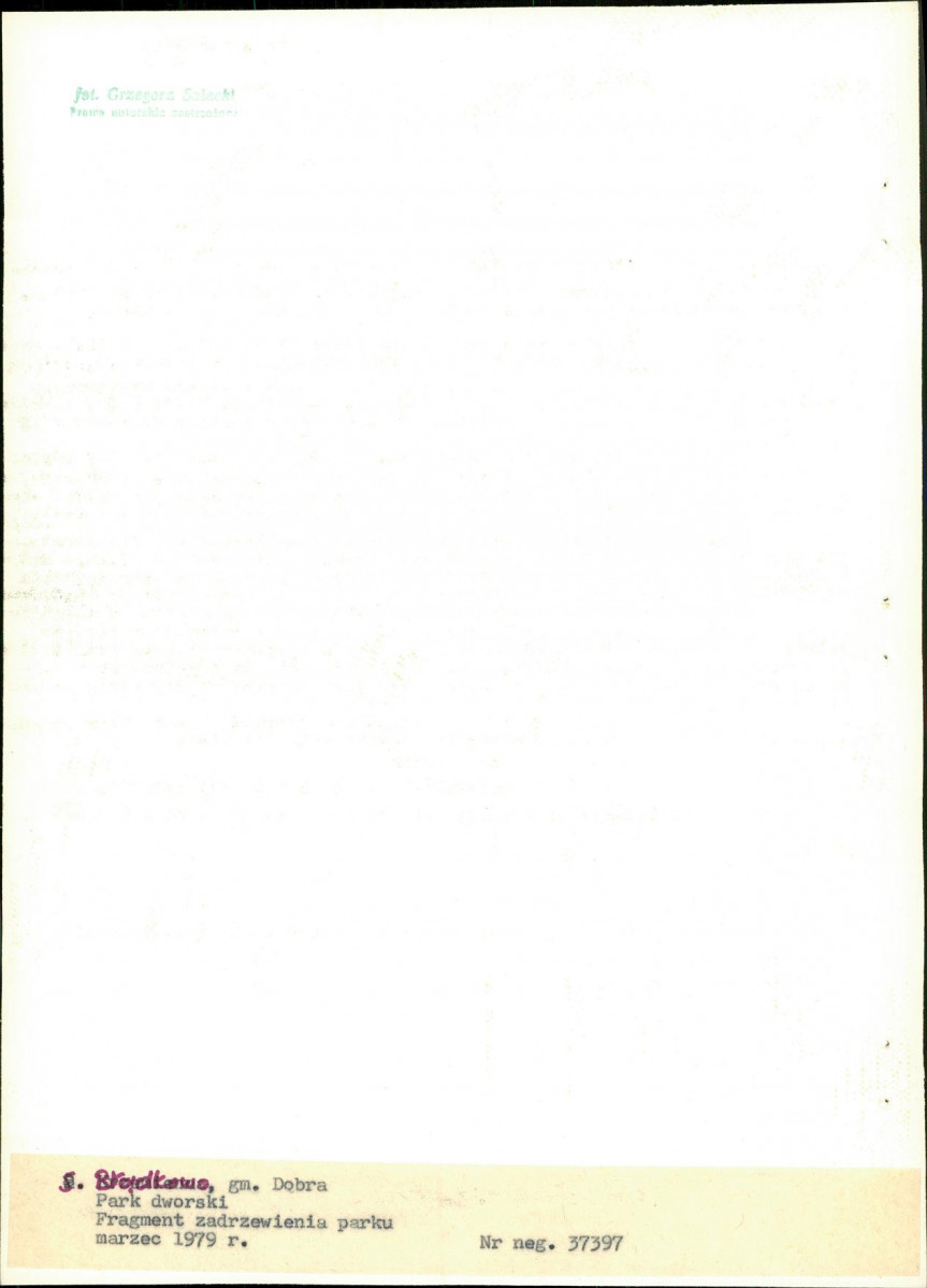 Ewidencja parkowa, skan nr 29