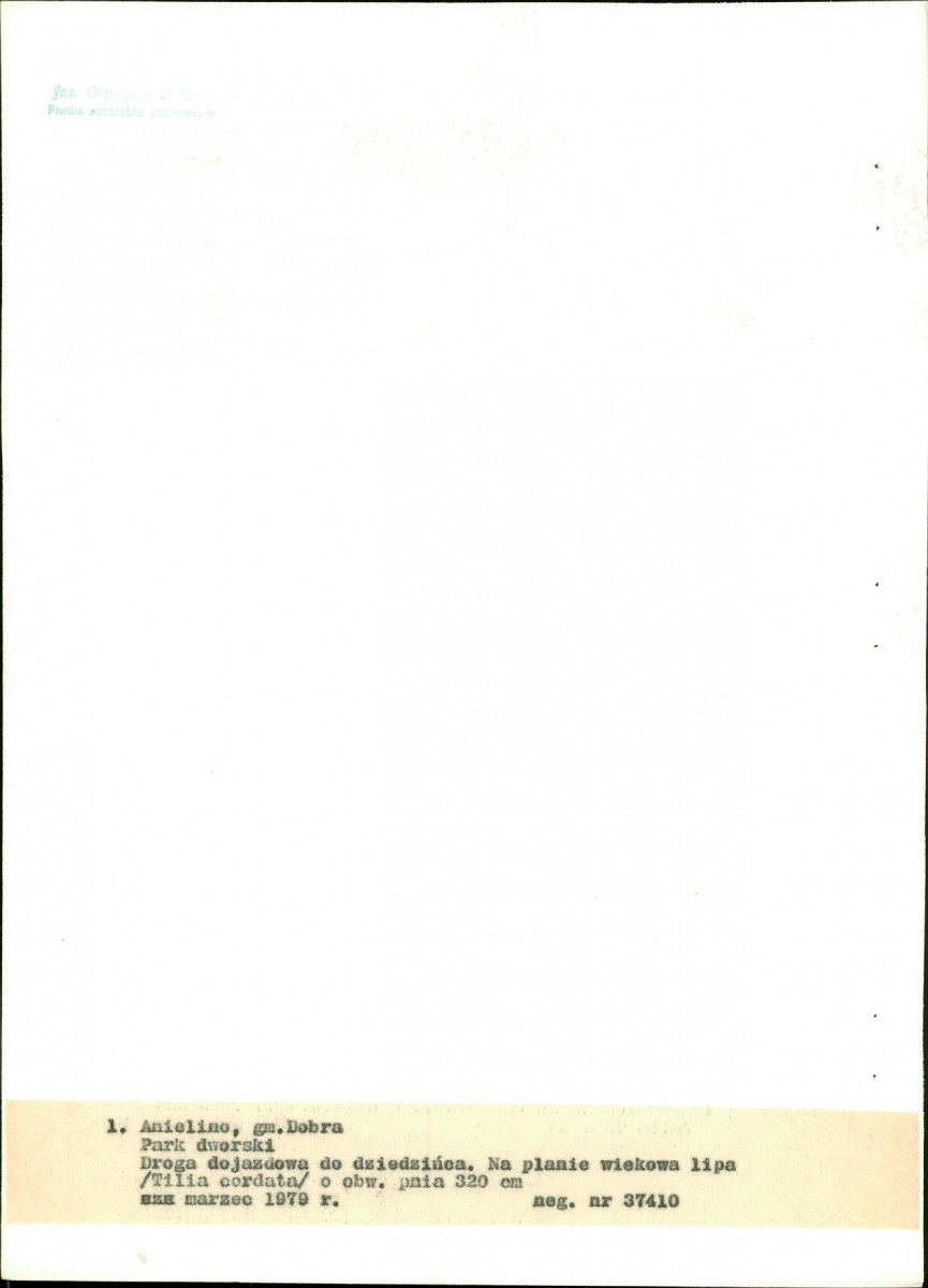 EP - Ewidencja parkowa, skan nr 21