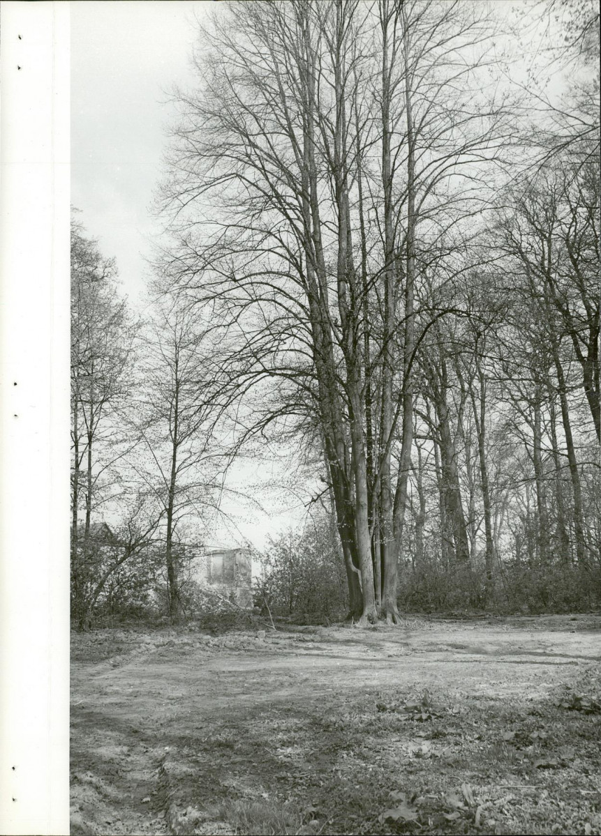 Ewidencja parkowa, skan nr 13