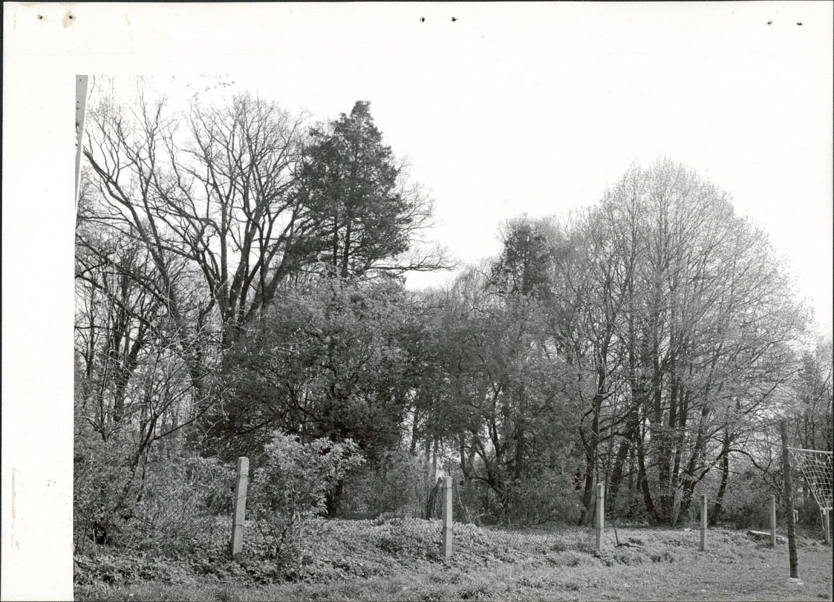 Ewidencja parkowa, skan nr 19