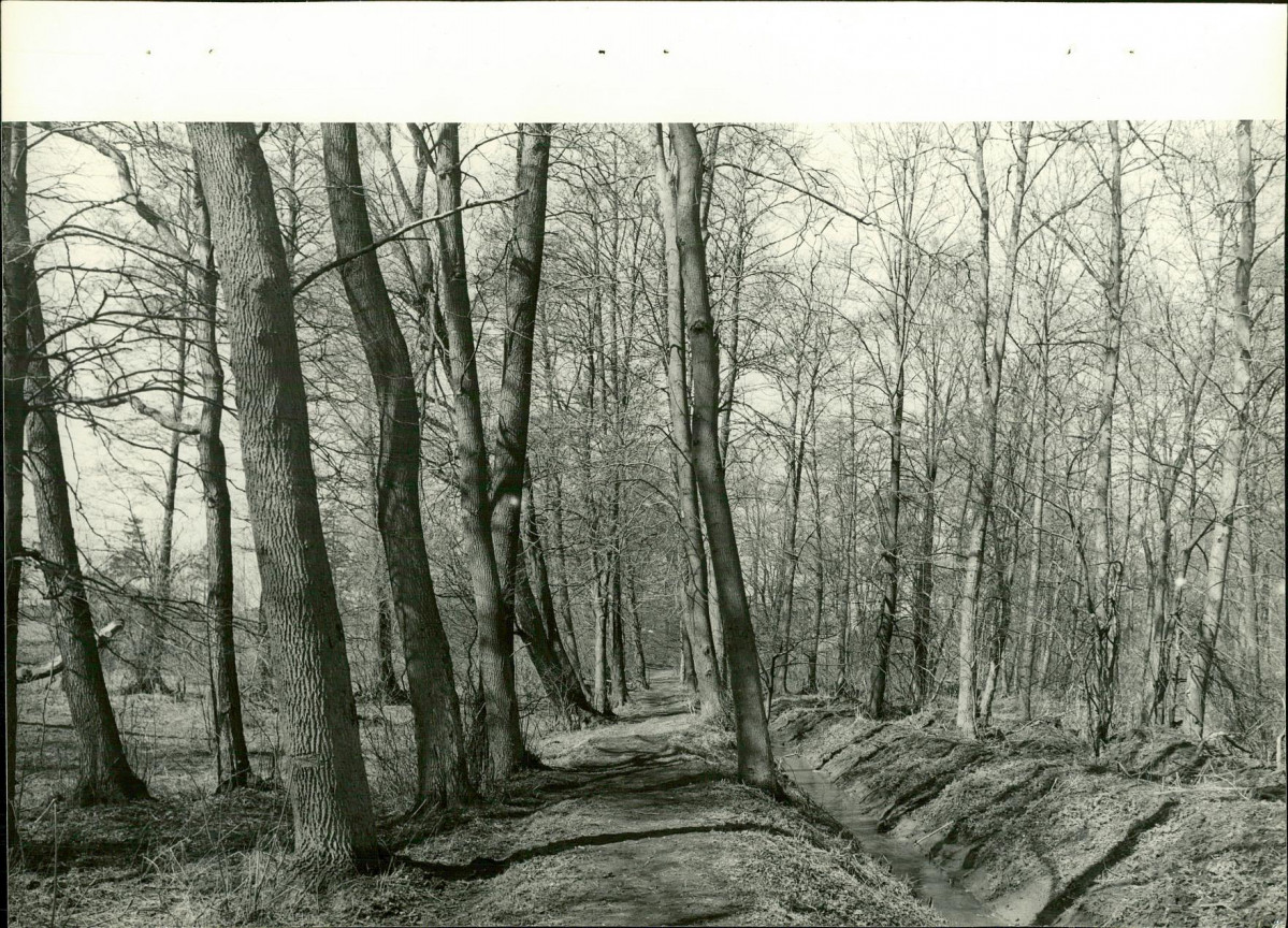 Ewidencja parkowa, skan nr 26