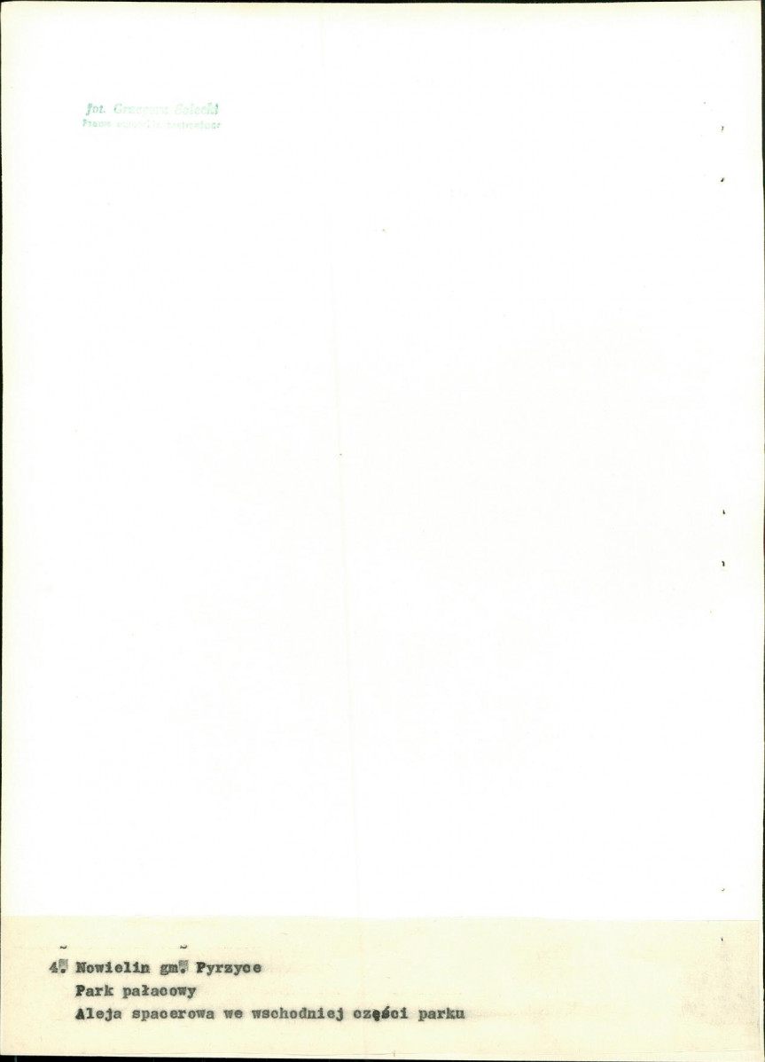 Ewidencja parkowa, skan nr 27