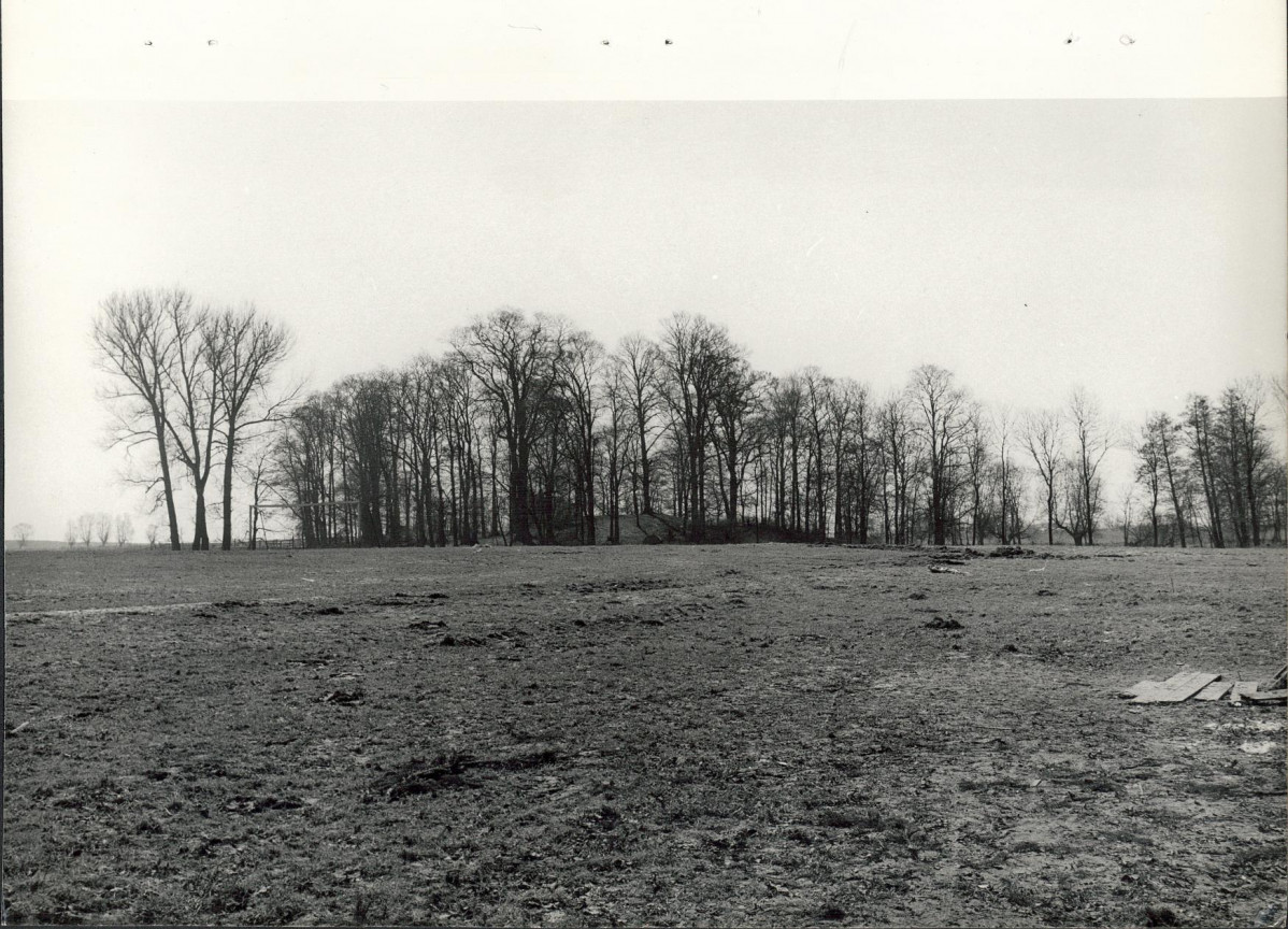 Ewidencja parkowa, skan nr 28