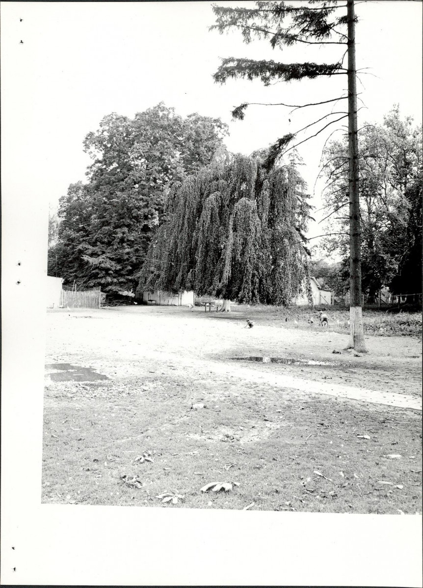 Ewidencja parkowa, skan nr 21