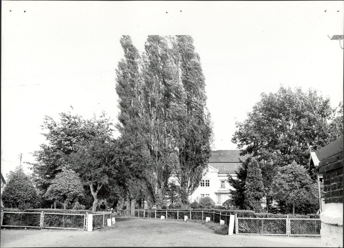 Ewidencja parkowa, skan nr 16