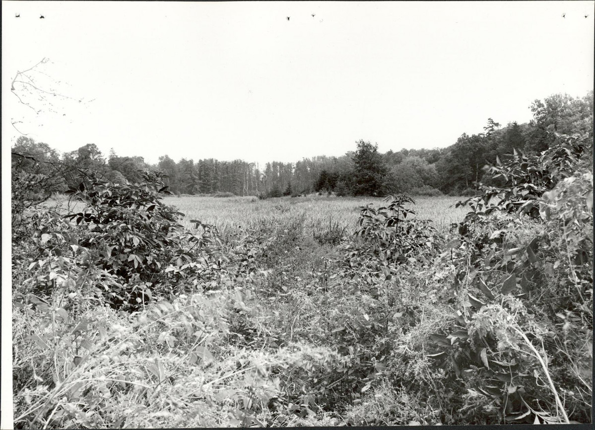 Ewidencja parkowa, skan nr 22