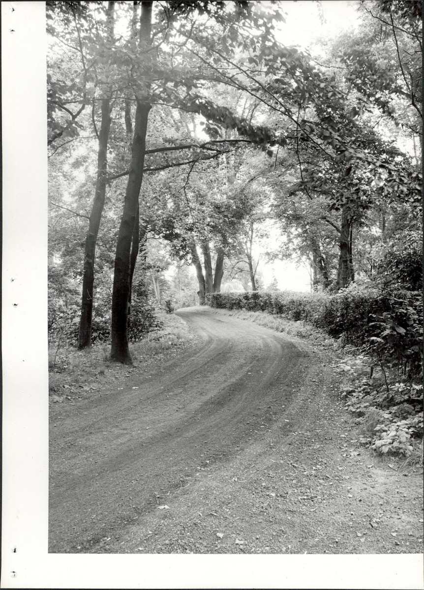 Ewidencja parkowa, skan nr 25
