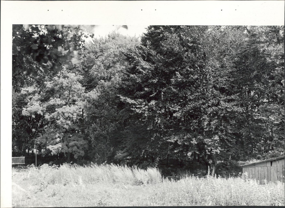 Ewidencja parkowa, skan nr 23