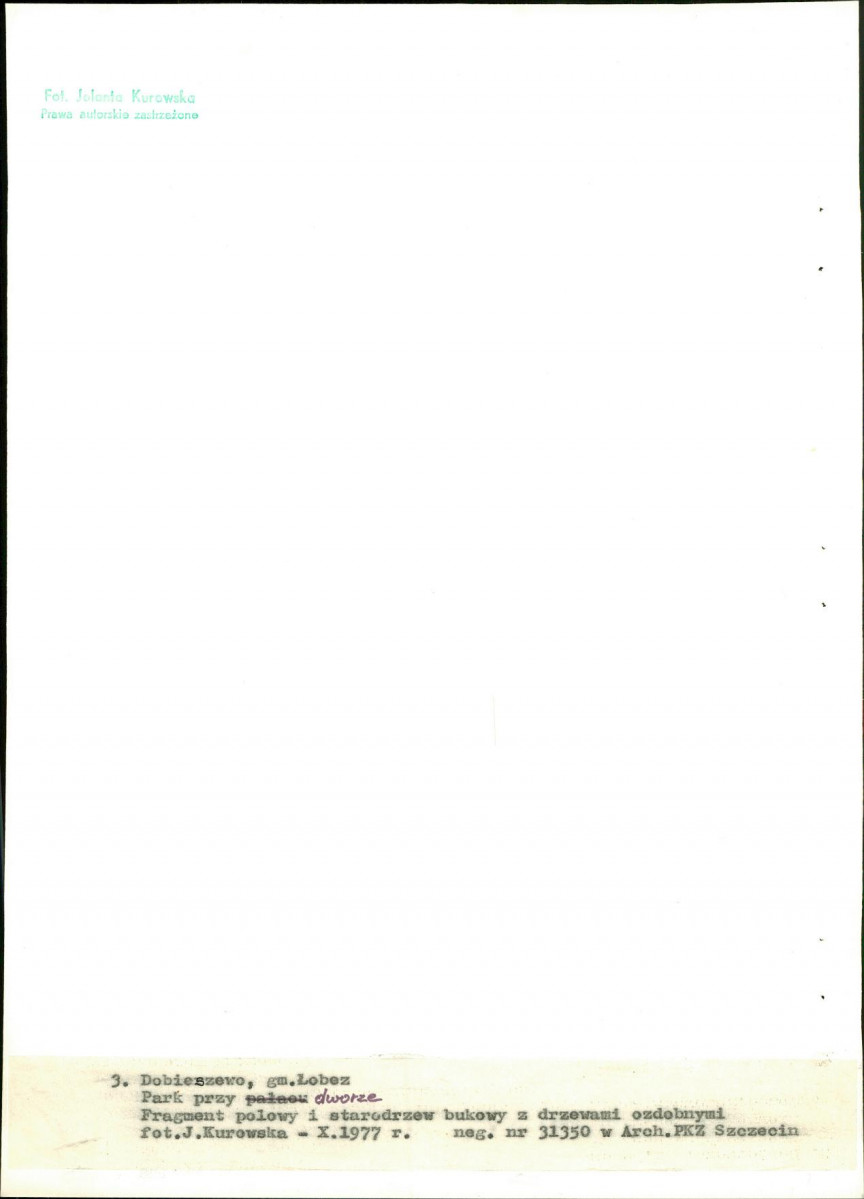 Ewidencja parkowa, skan nr 24