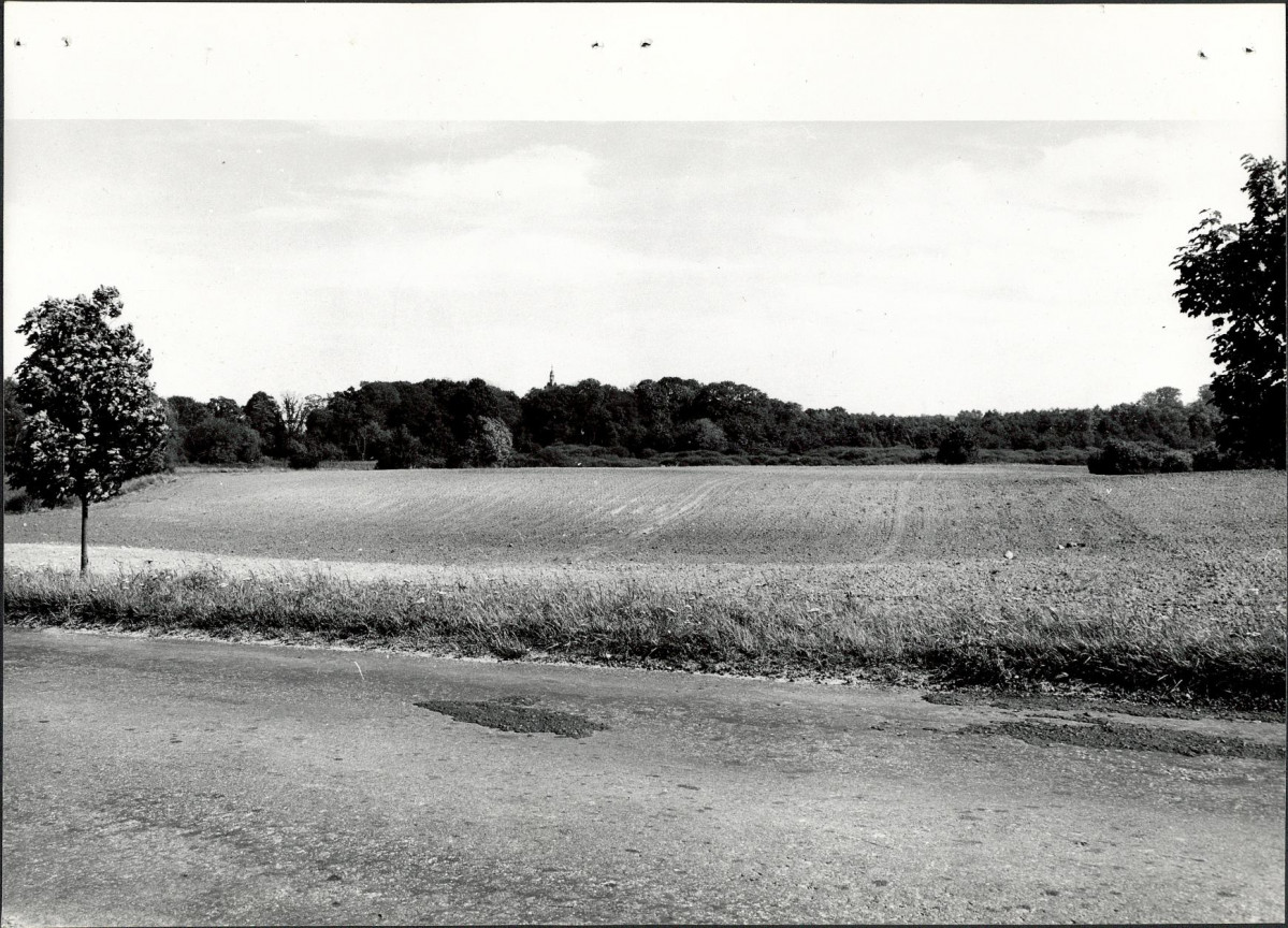 Ewidencja parkowa, skan nr 14