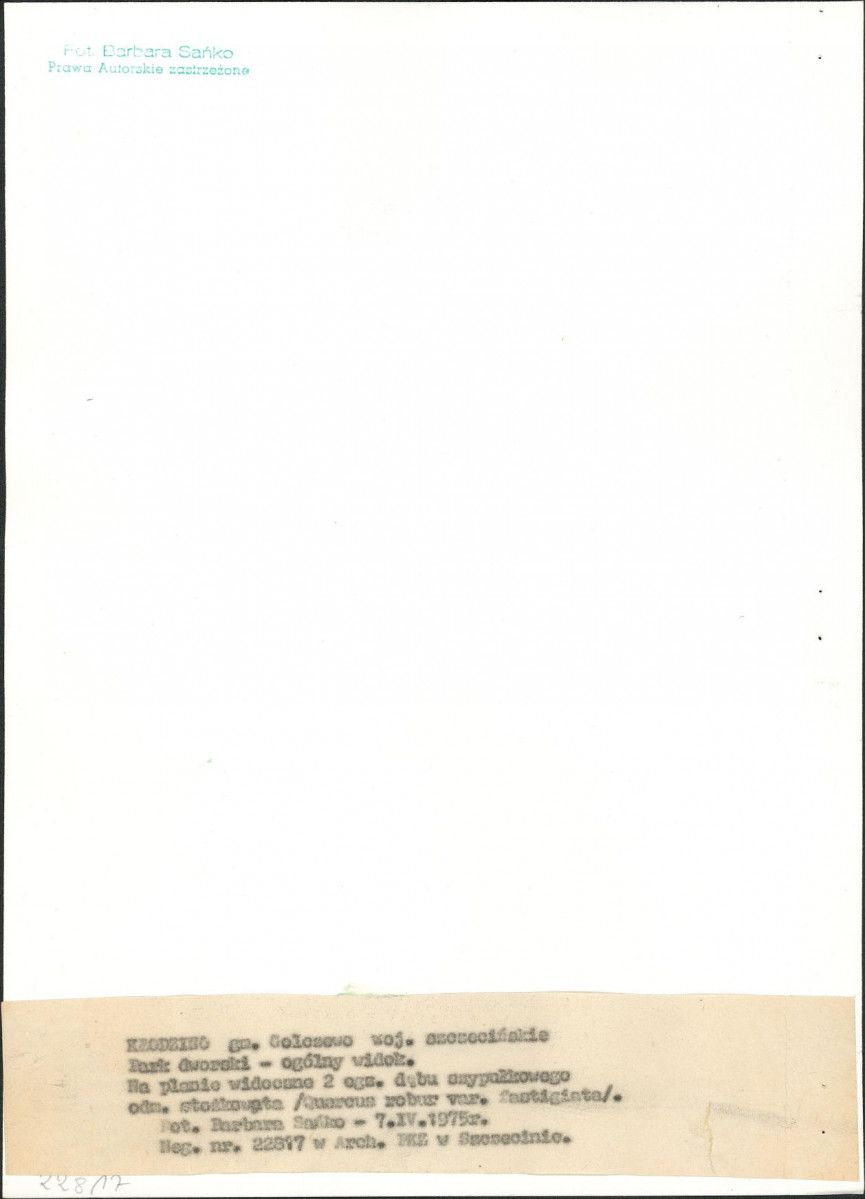 EP - Ewidencja parkowa, skan nr 16