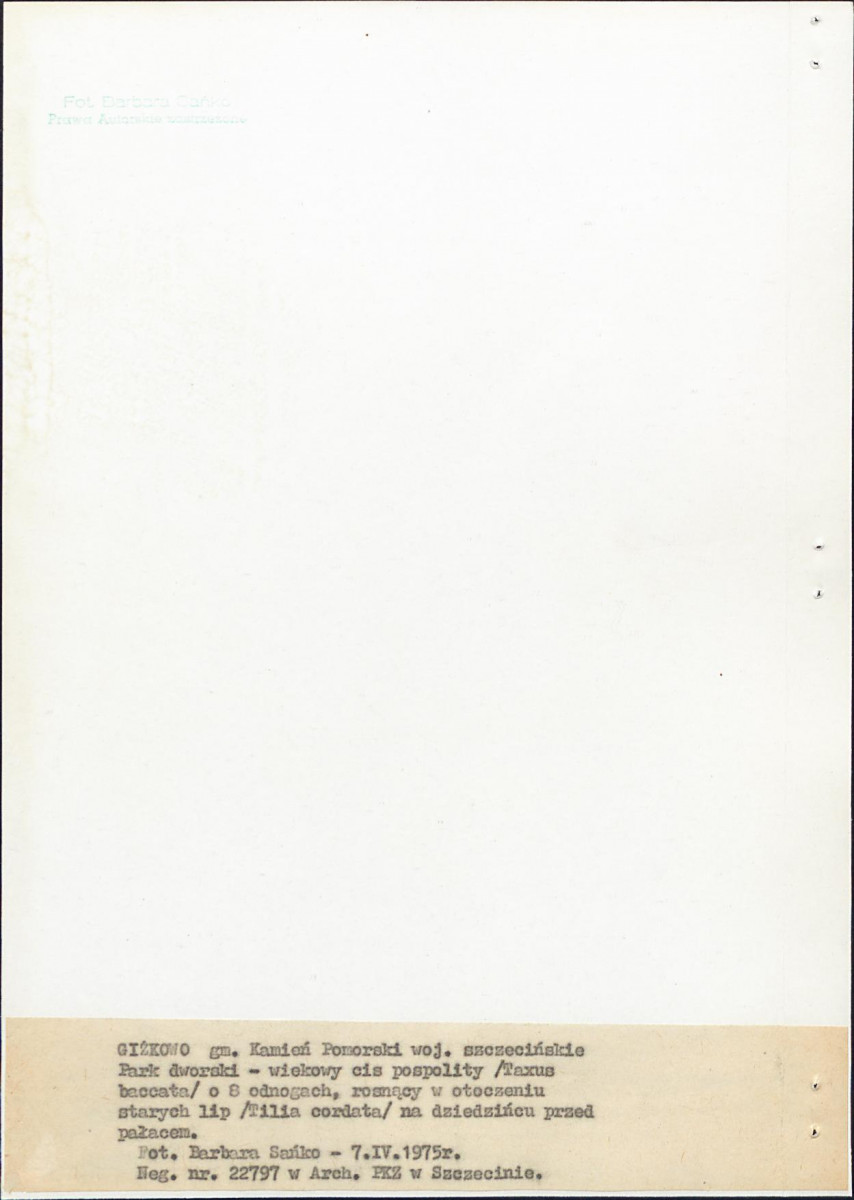 EP - Ewidencja parkowa, skan nr 21