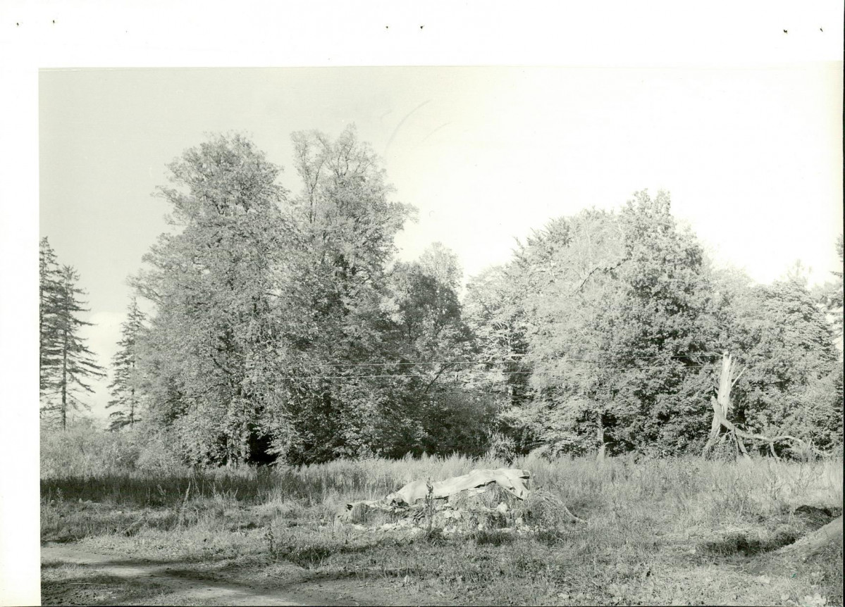 Ewidencja parkowa, skan nr 25