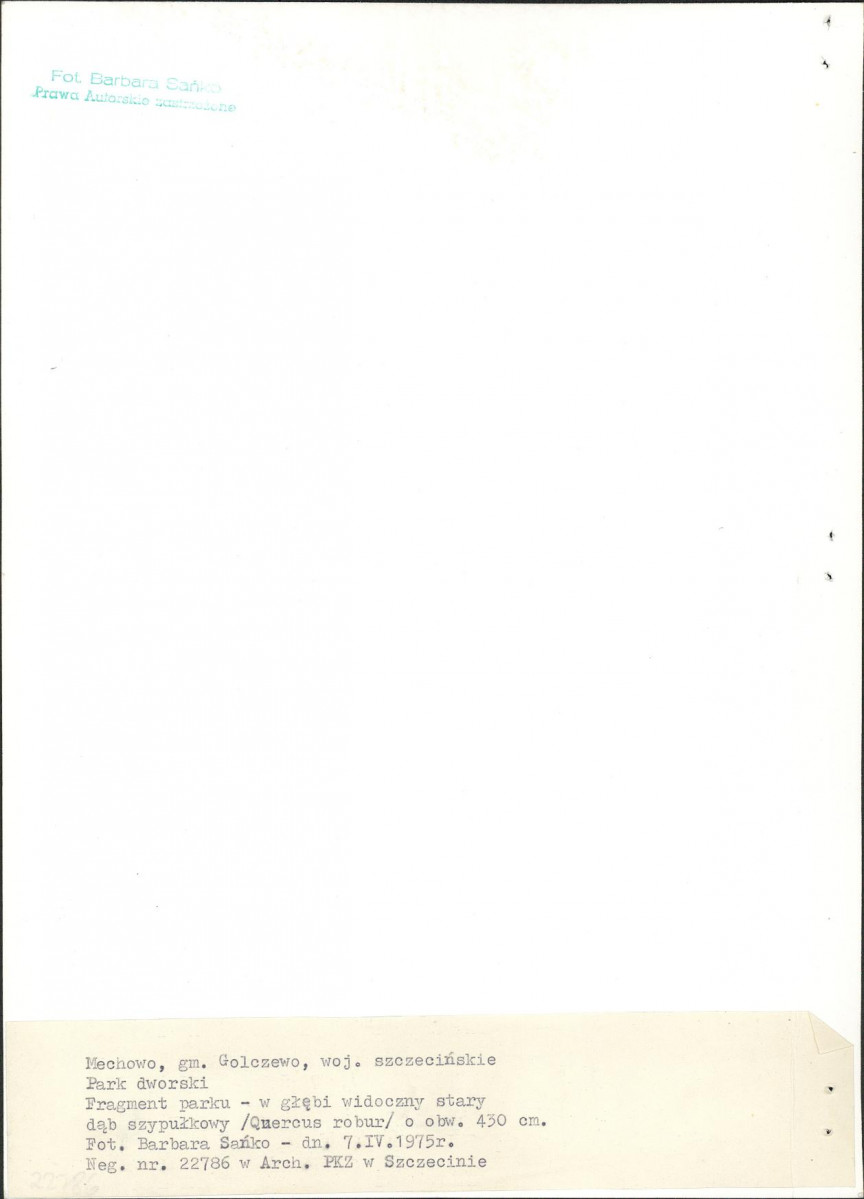 EP - Ewidencja parkowa, skan nr 13
