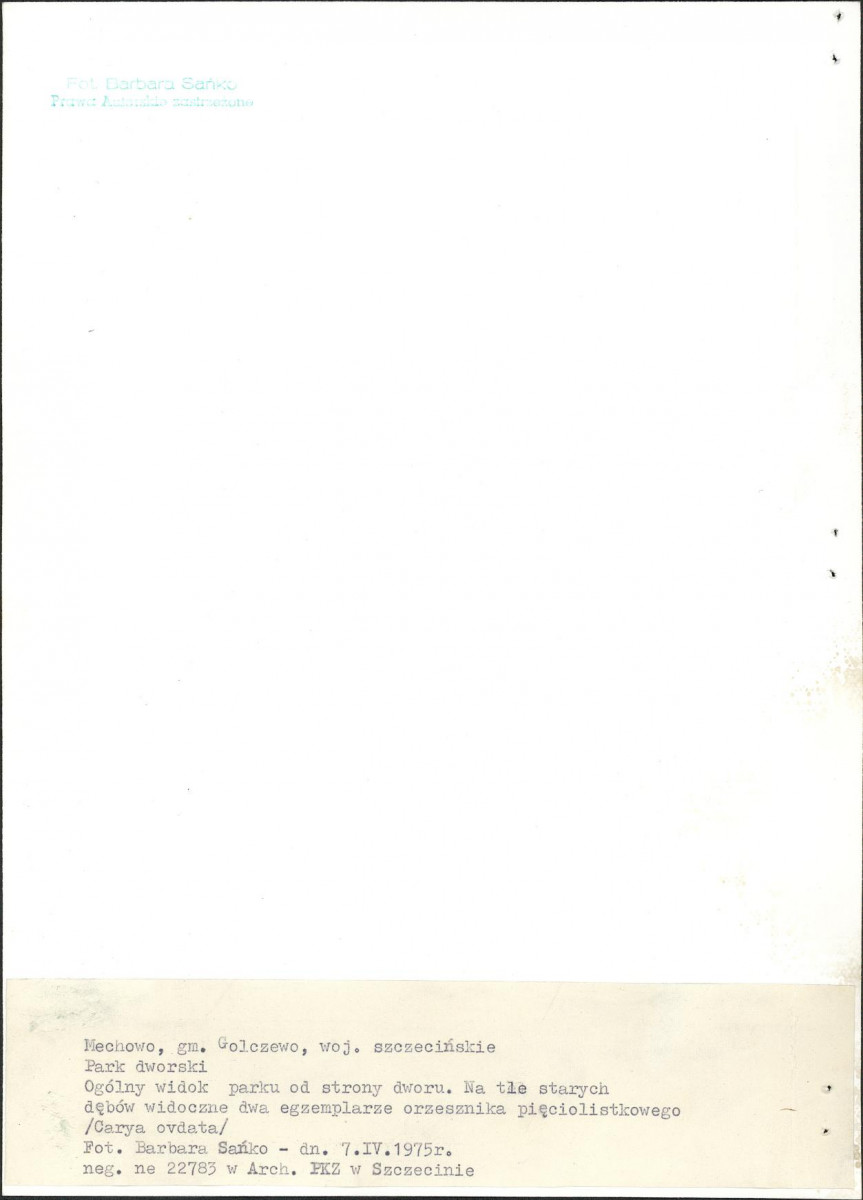 EP - Ewidencja parkowa, skan nr 15