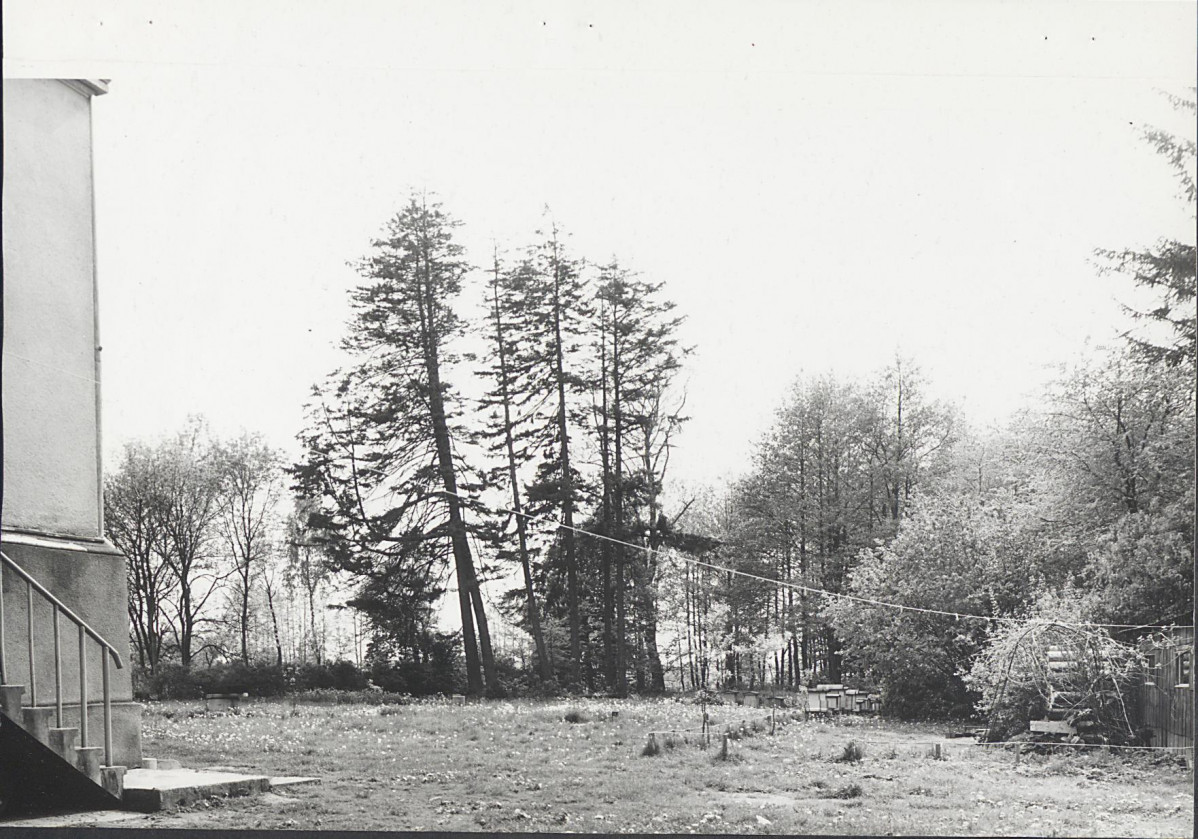 Ewidencja parkowa, skan nr 13