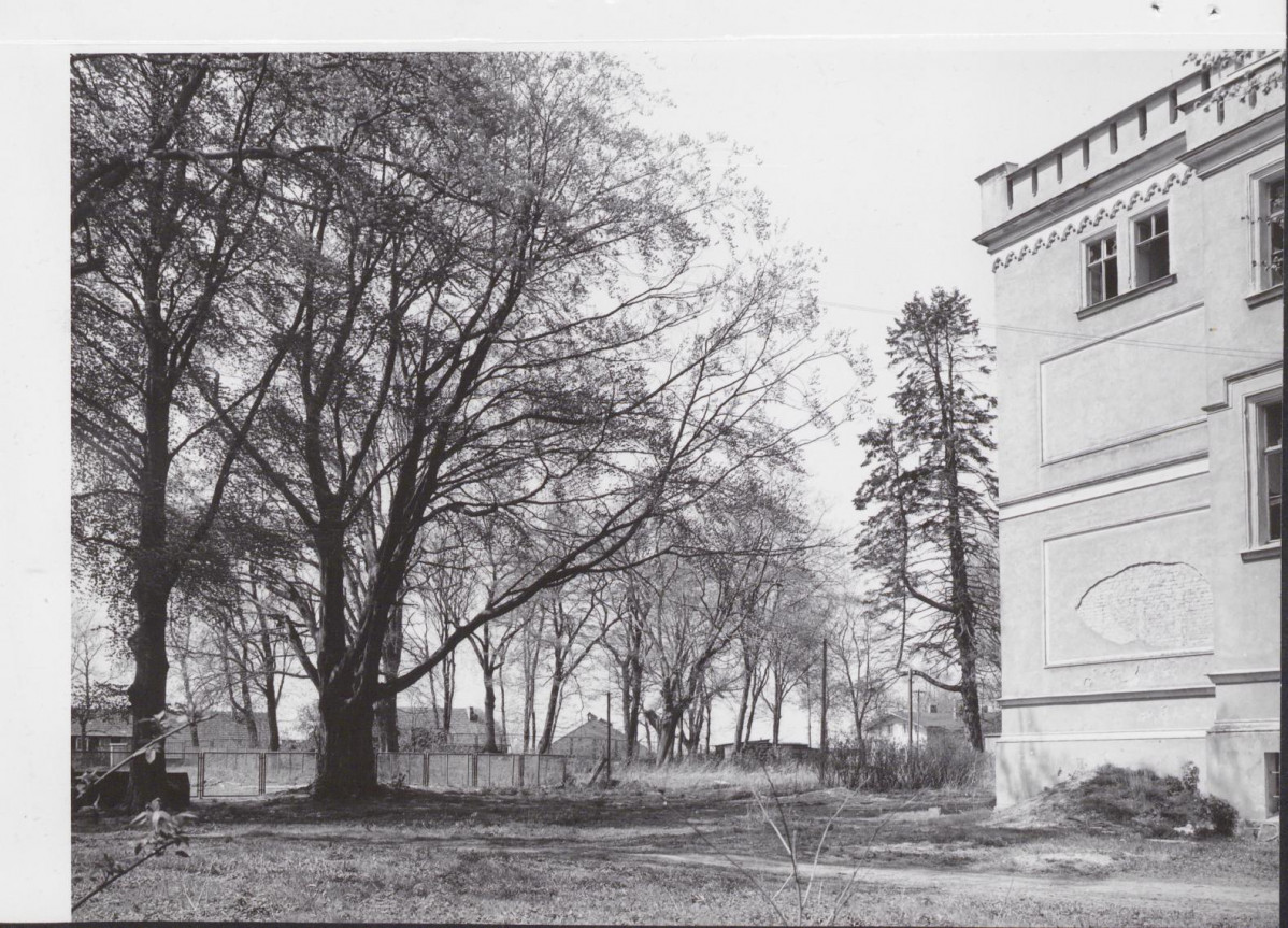 Ewidencja parkowa, skan nr 23