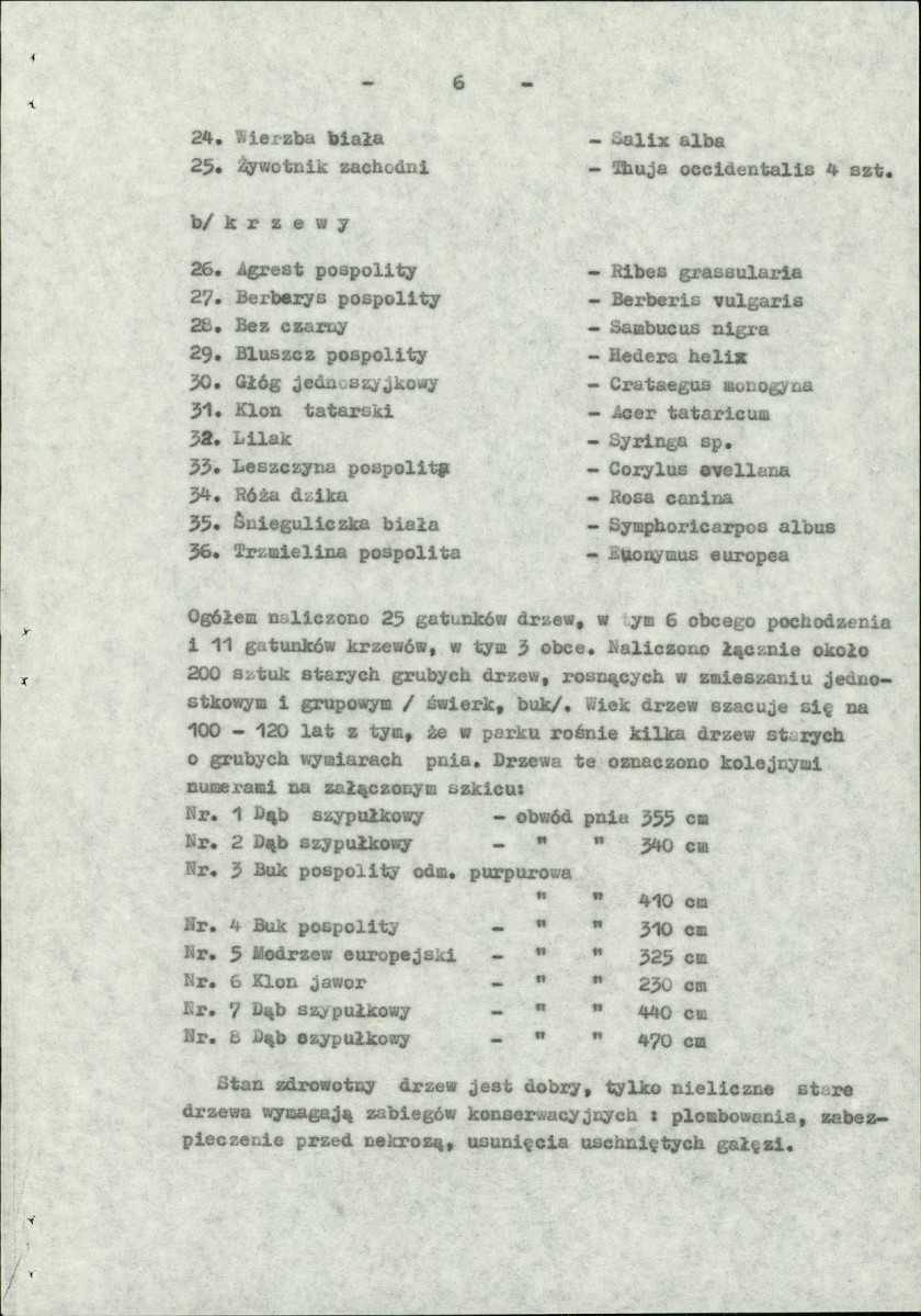 Ewidencja parkowa, skan nr 10