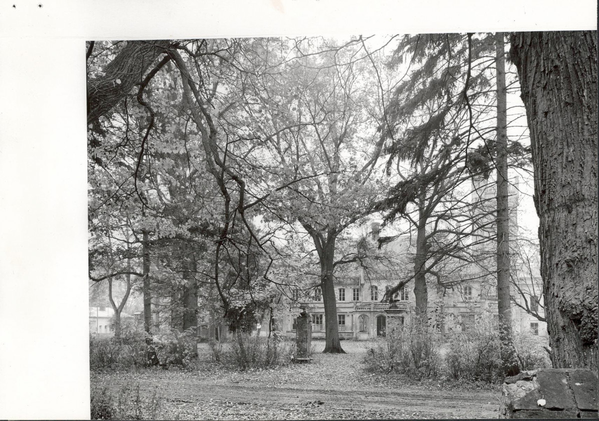 Ewidencja parkowa, skan nr 19