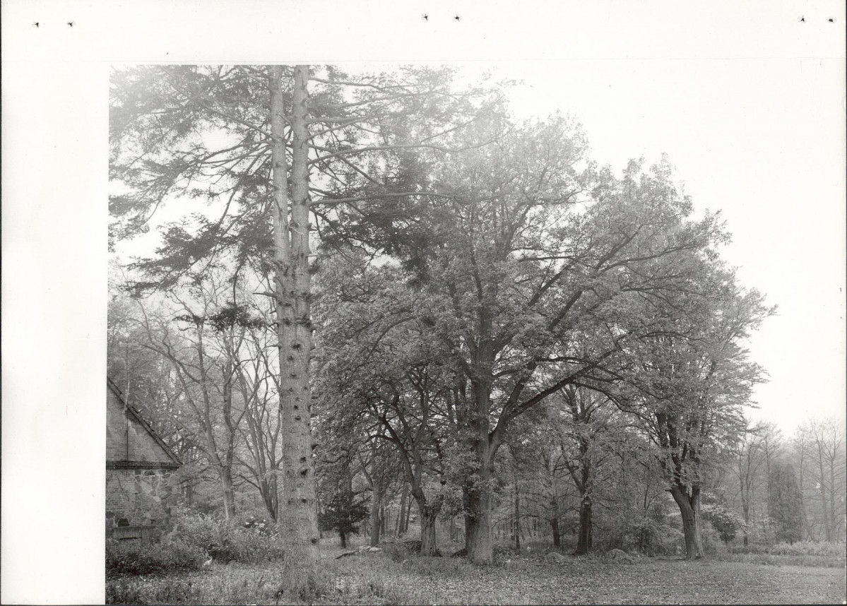 Ewidencja parkowa, skan nr 31