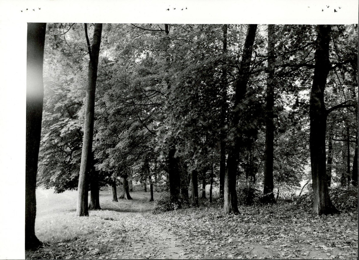 Ewidencja parkowa, skan nr 44
