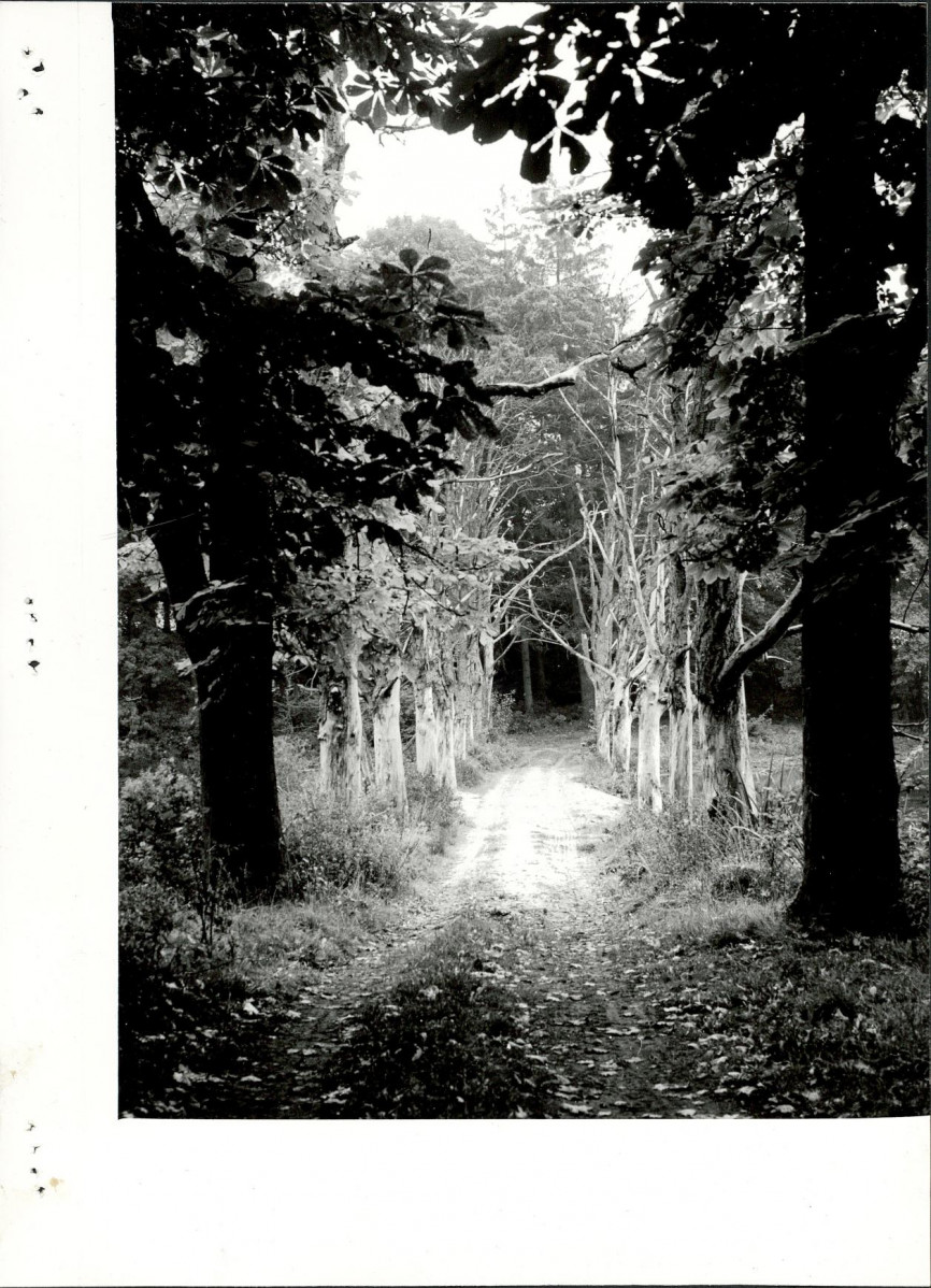 Ewidencja parkowa, skan nr 46