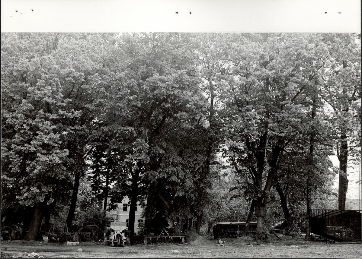 Ewidencja parkowa, skan nr 19