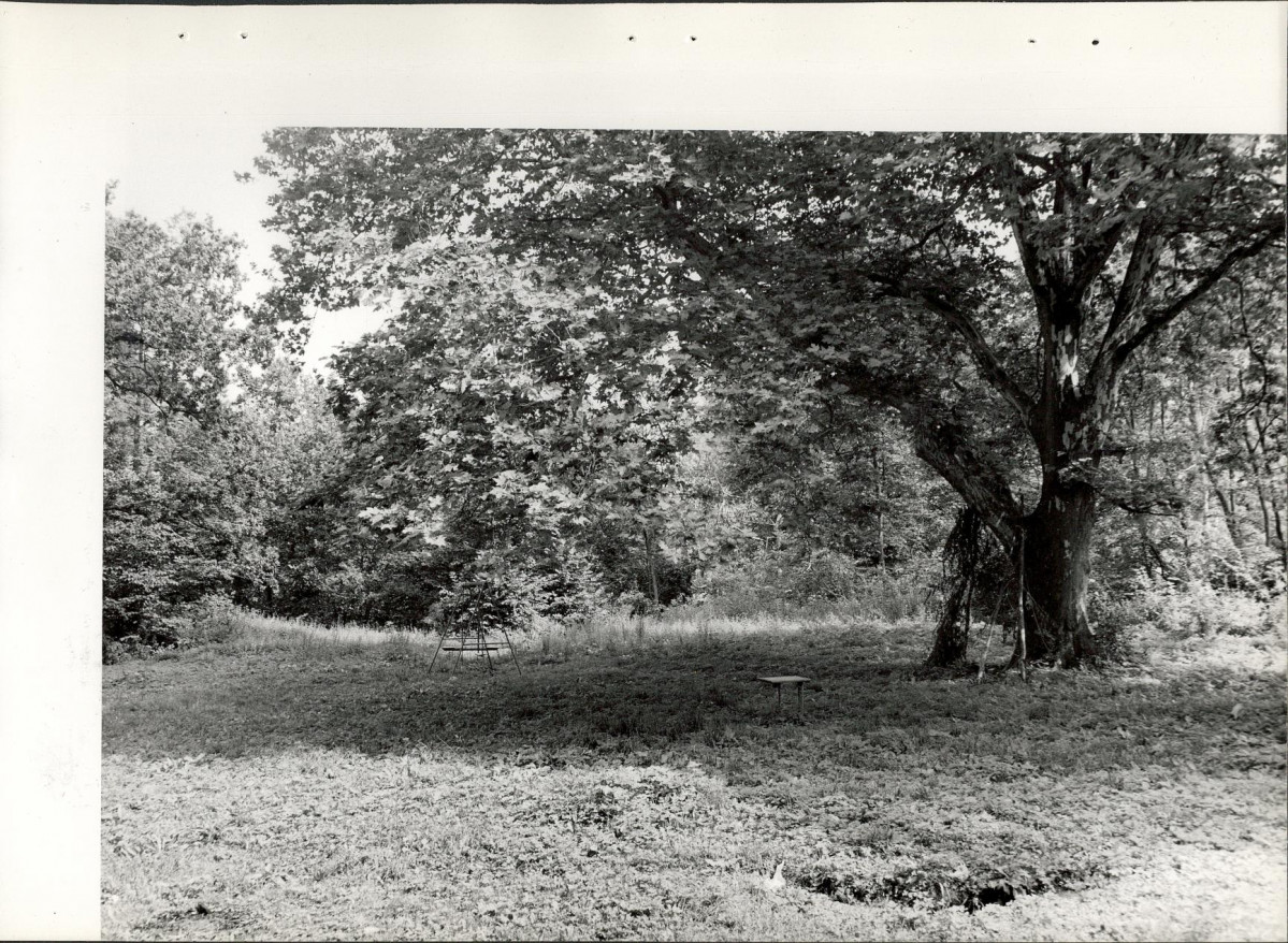 Ewidencja parkowa, skan nr 20
