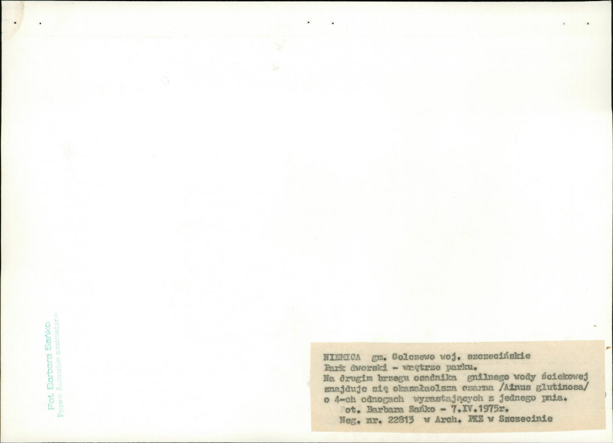 EP - Ewidencja parkowa, skan nr 14