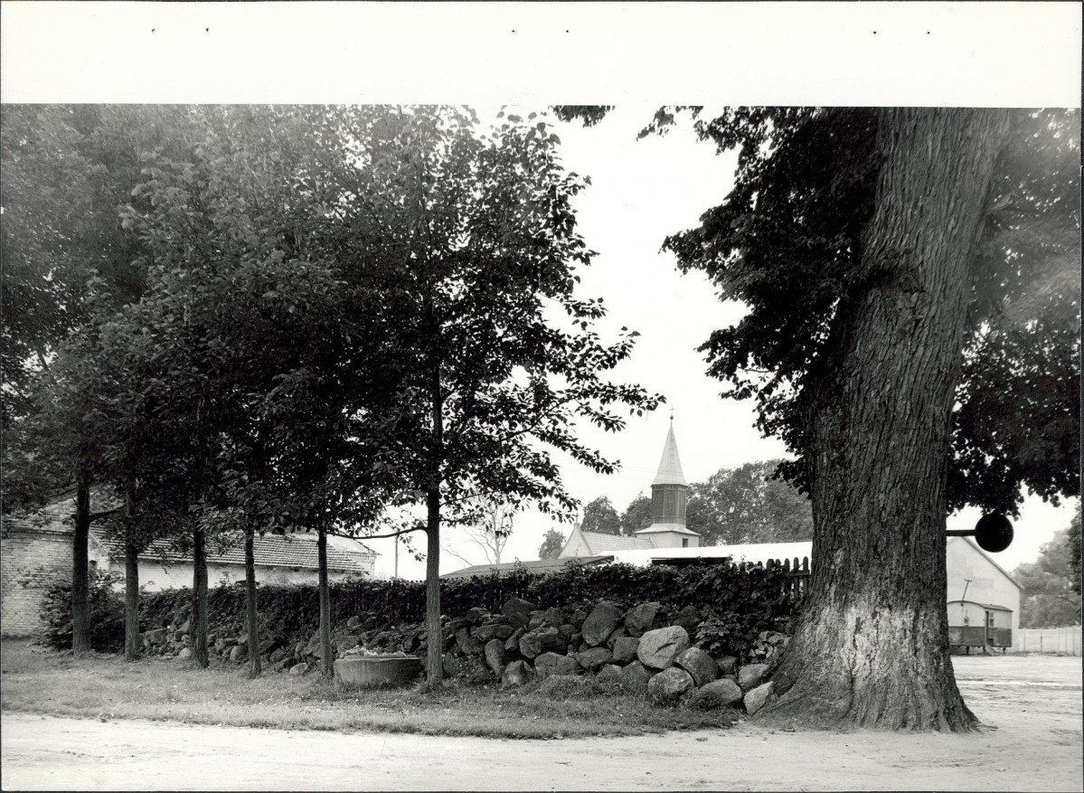 EP - Ewidencja parkowa, skan nr 21