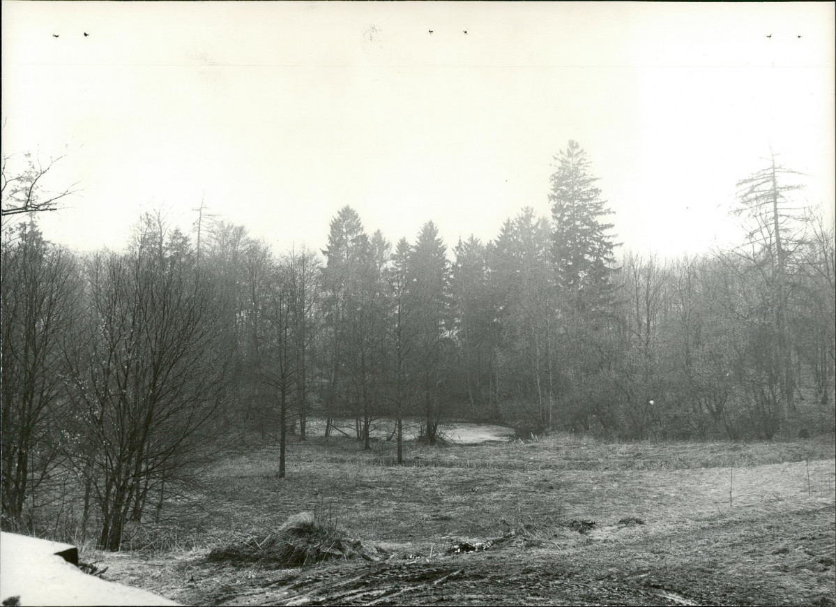 Ewidencja parkowa, skan nr 23