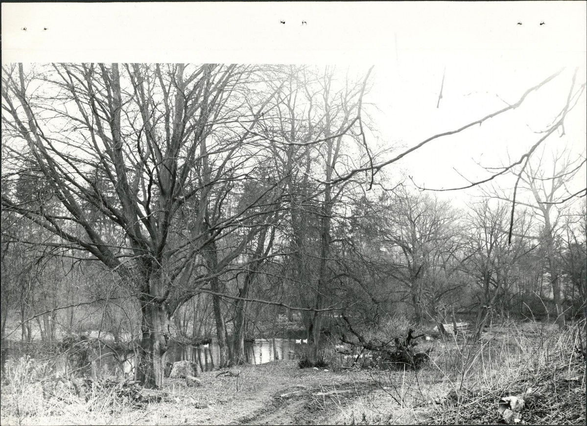 Ewidencja parkowa, skan nr 23