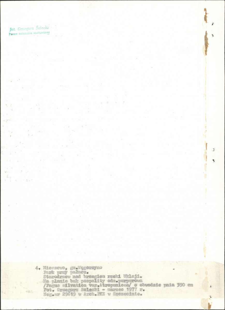 Ewidencja parkowa, skan nr 24