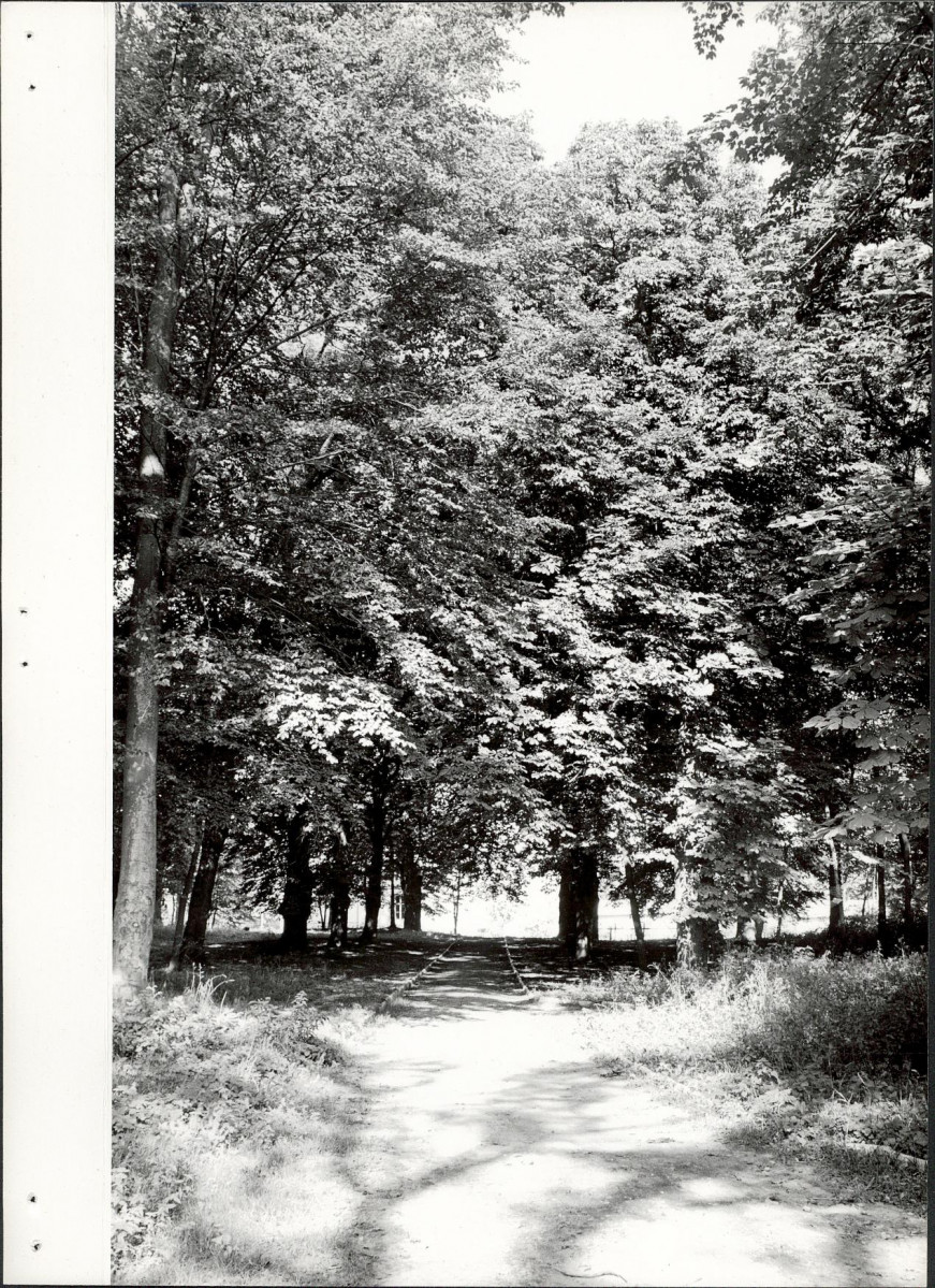 Ewidencja parkowa, skan nr 17