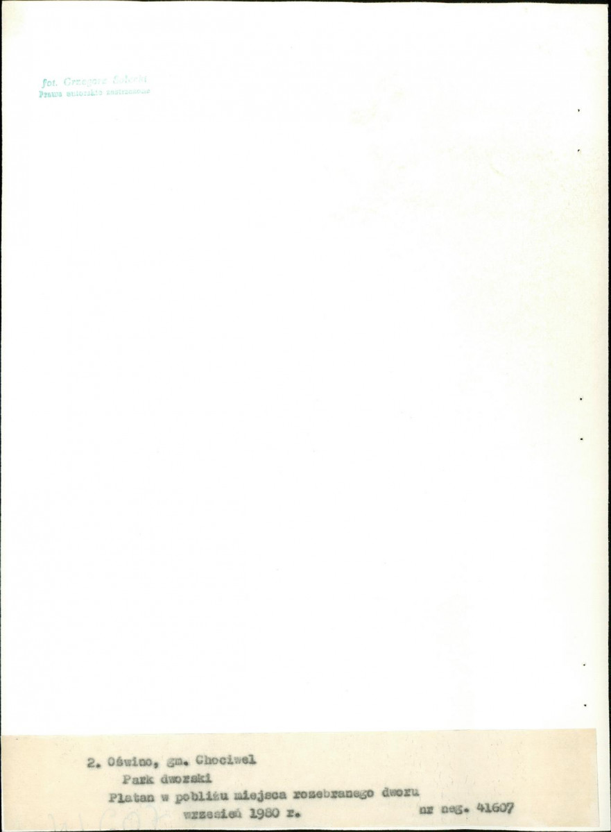 EP - Ewidencja parkowa, skan nr 21